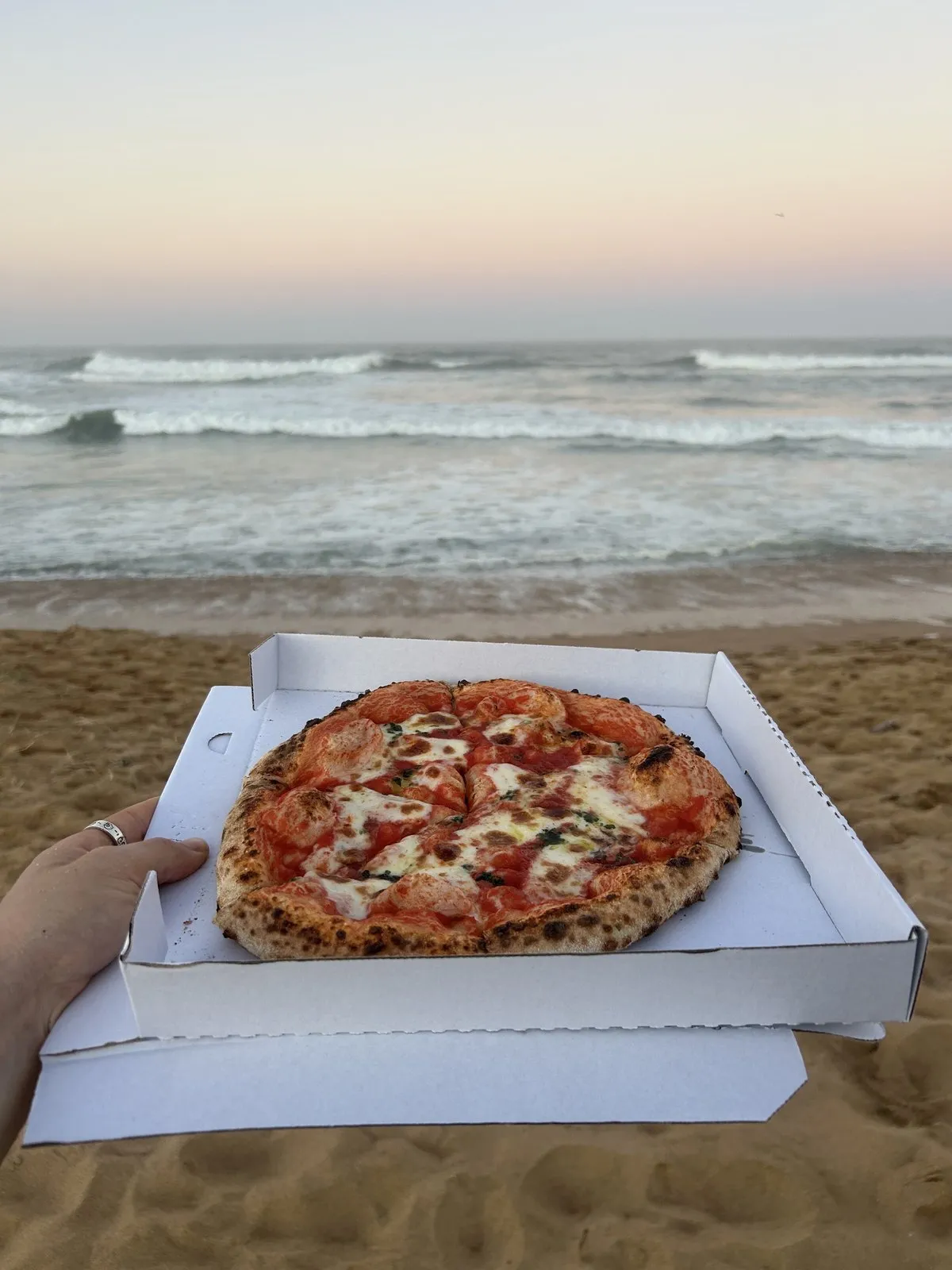An Oliva Margherita held up in its box on the beach at dusk, waves behind