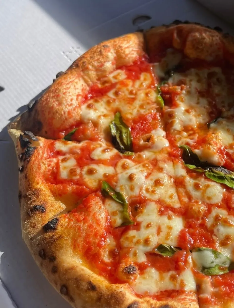 Margherita slices with blistered crust and fresh basil
